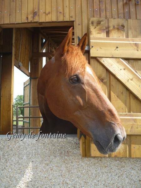 Photo de profil de gemydefontaine