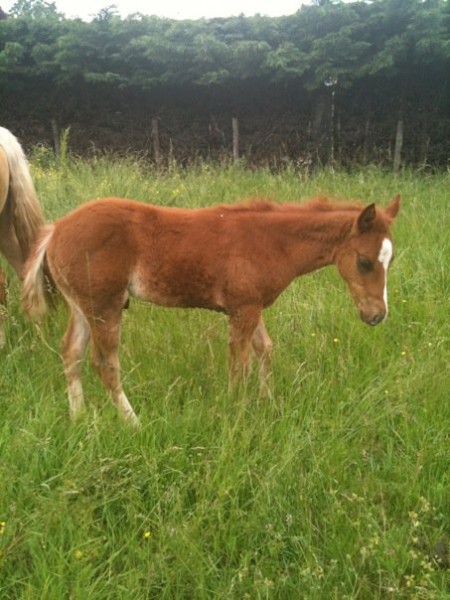 Photo de profil de anais12345