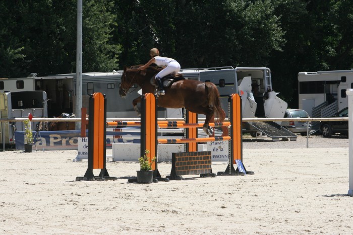 Photo de profil de cashou