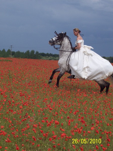 Photo de profil de padrino