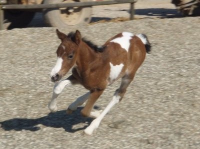 Photo de profil de elodiie80