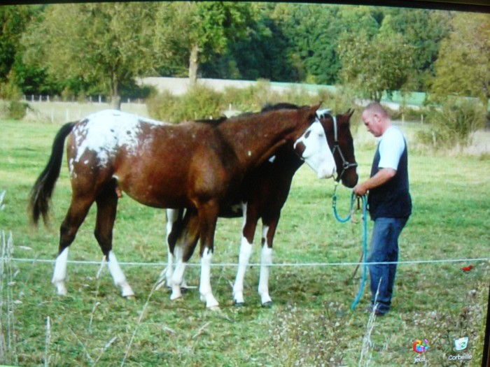 Photo de profil de manyr