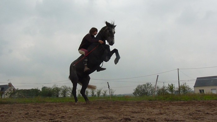 Photo de profil de imageephoto