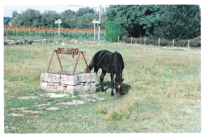 Photo de profil de isoloma