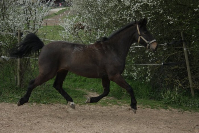 Photo de profil de onde_flo