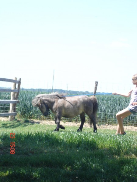 Photo de profil de ulane2008