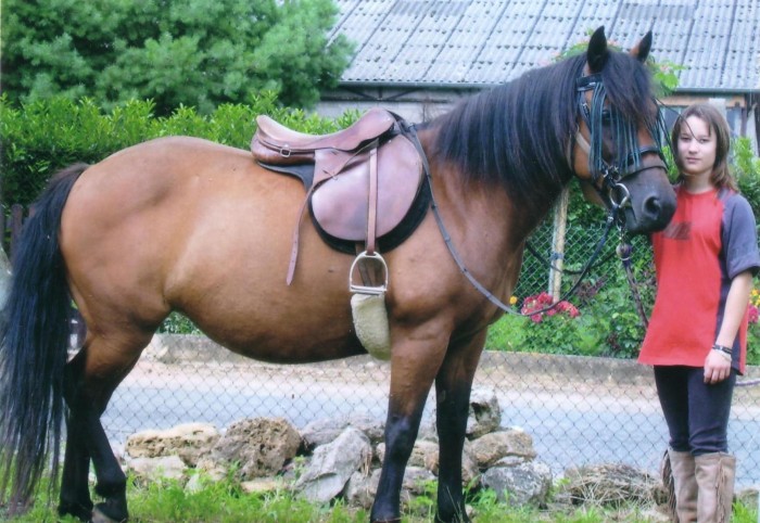 Photo de profil de lilou79