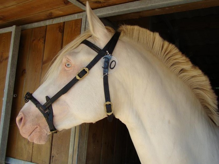Photo de profil de equiat24