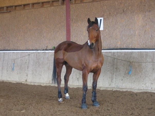 Photo de profil de kirdurosay