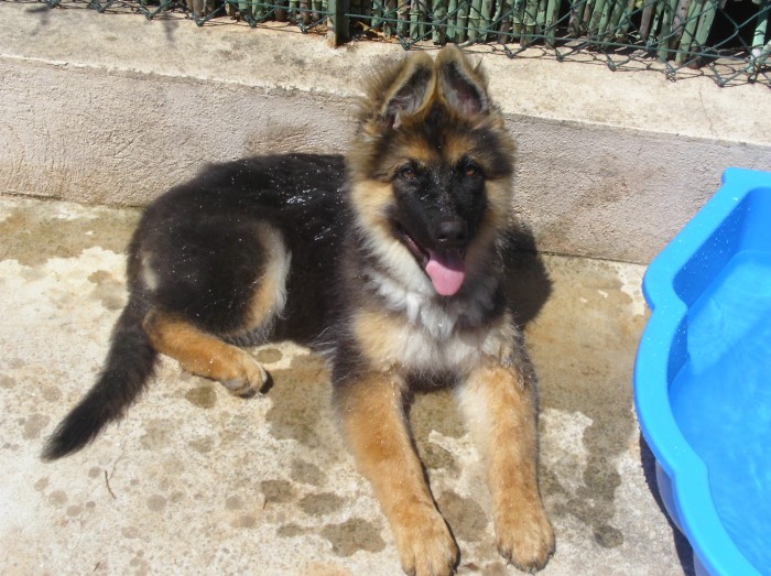 Photo de profil de valou27