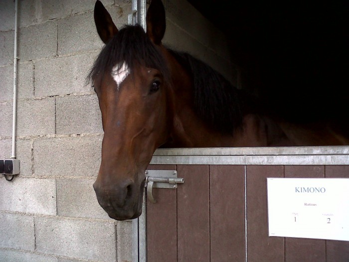 Photo de profil de goldenx