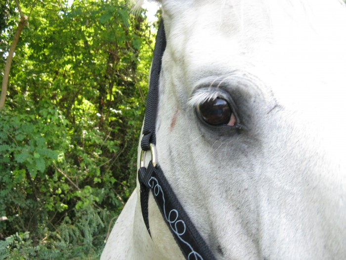 Photo de profil de far.in.love