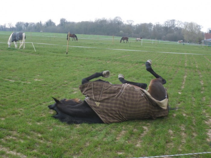 Photo de profil de c0raliie