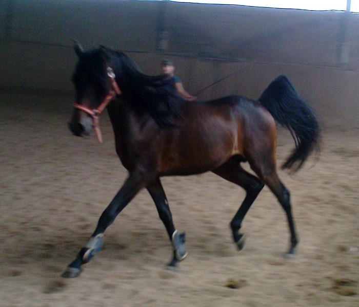 Photo de profil de emiliebuffiere