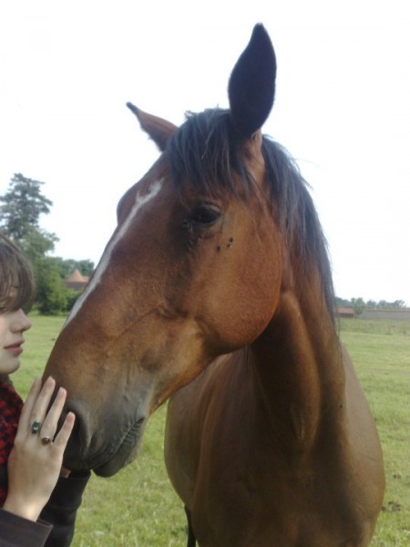Photo de profil de senrugy