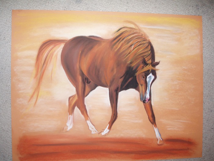 Photo de profil de charline37