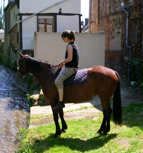 Photo de profil de marionbr