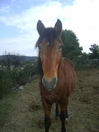 Photo de profil de ylionayack