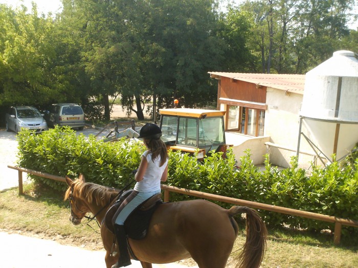 Photo de profil de brindherbe