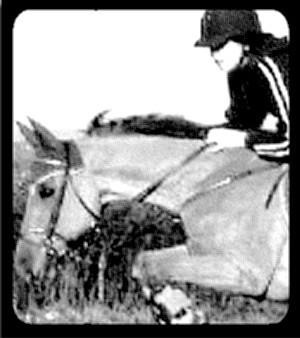 Photo de profil de inkora