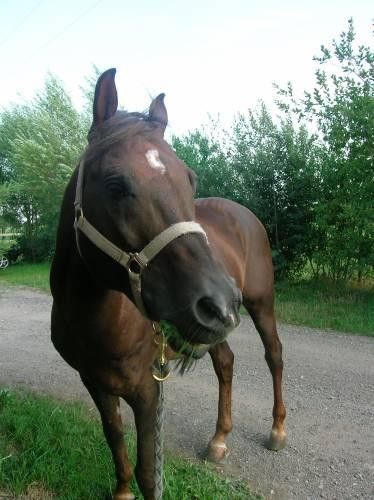 Photo de profil de giessen67