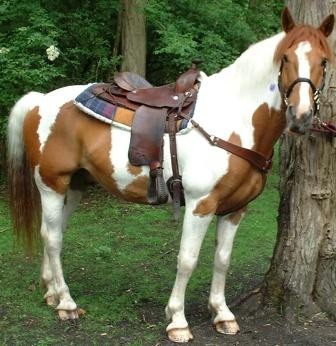 Photo de profil de franxence