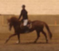 Photo de profil de kevin38