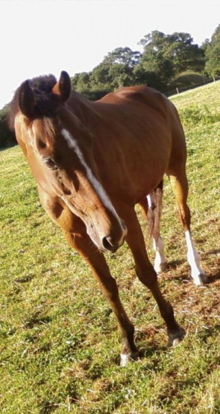 Photo de profil de holistar22