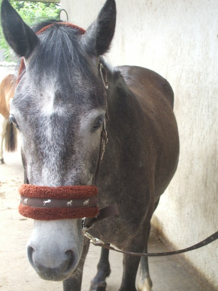 Photo de profil de nina23