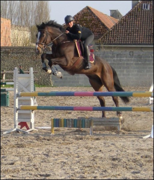 Photo de profil de quetzaldutheil