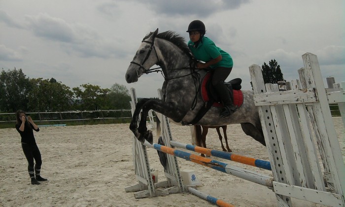 Photo de profil de darkpony