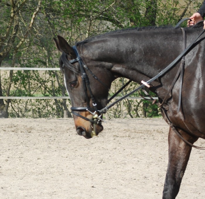 Photo de profil de leslyb