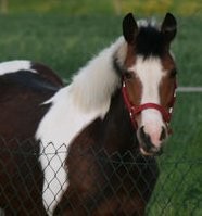 Photo de profil de clairette57