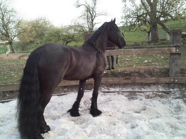 Photo de profil de jarich55