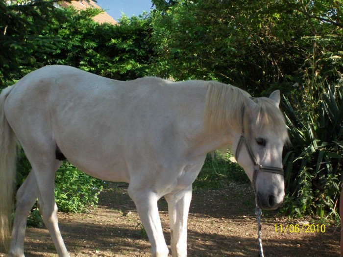 Photo de profil de tifou