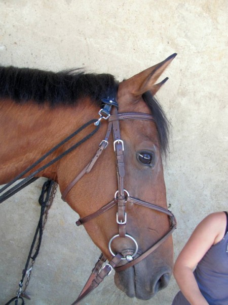 Photo de profil de claire3920
