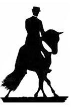 Photo de profil de nashval