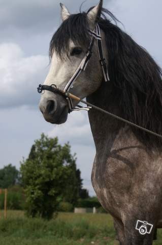 Photo de profil de misselisa83