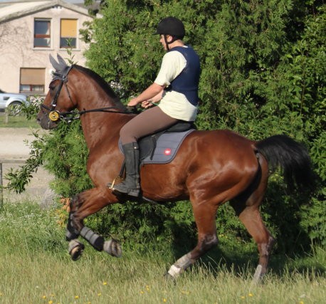 Photo de profil de biche67