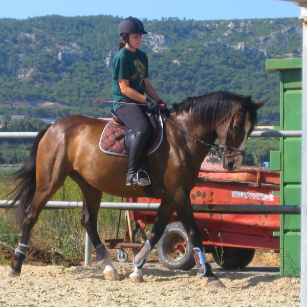 Photo de profil de missdevaux