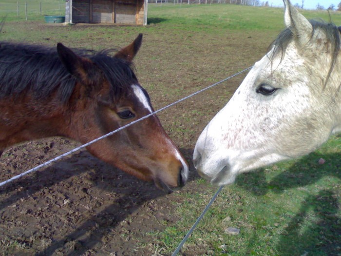 Photo de profil de cerisedu87