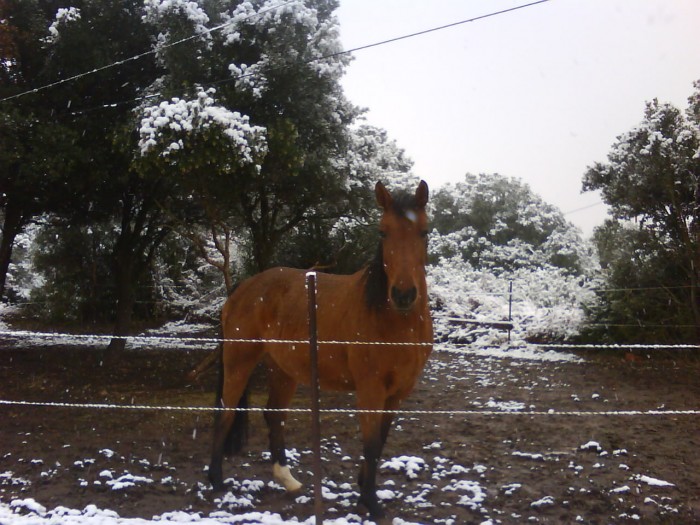 Photo de profil de mariondu11