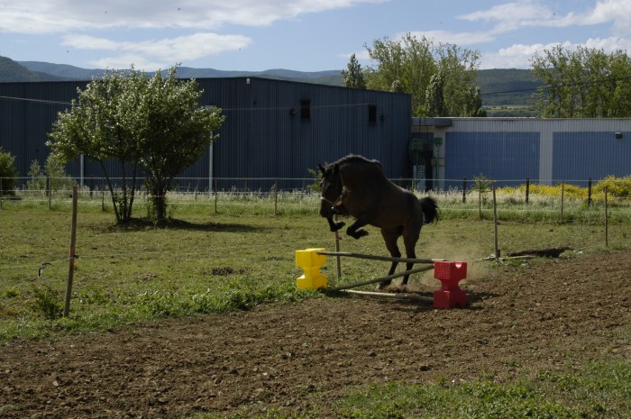 Photo de profil de indice84