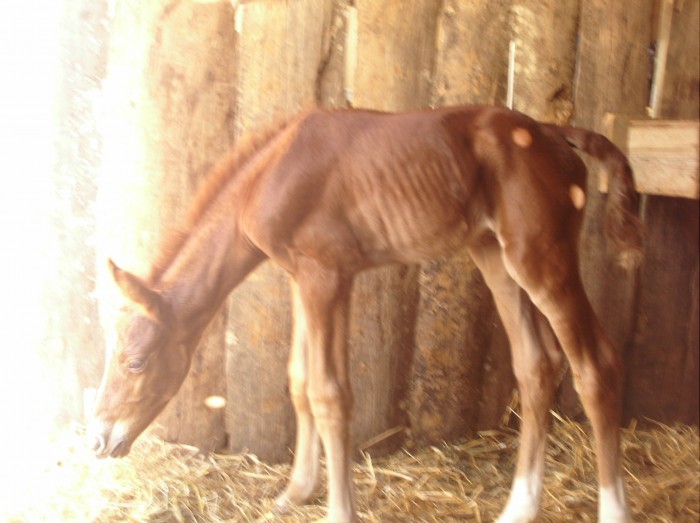 Photo de profil de cocozout