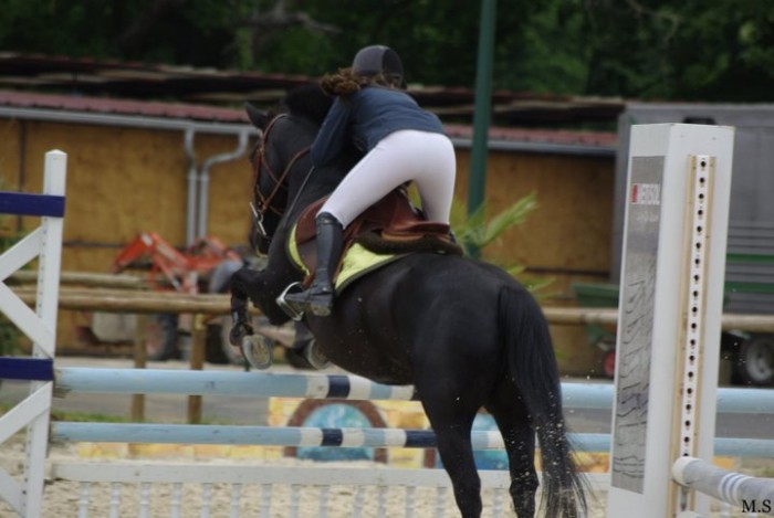 Photo de profil de bouchu