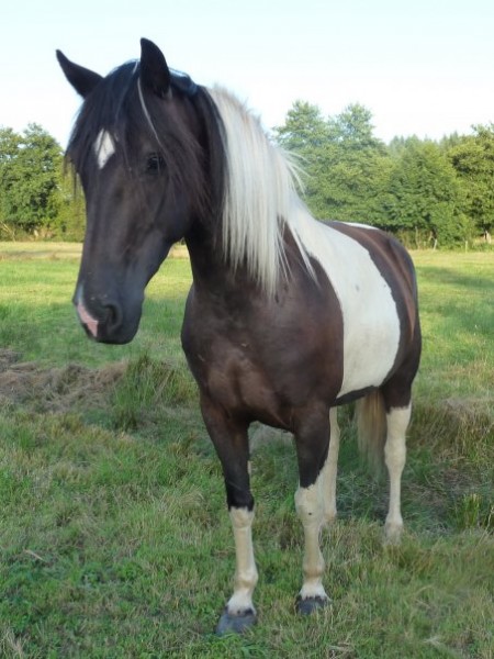 Photo de profil de lfdb