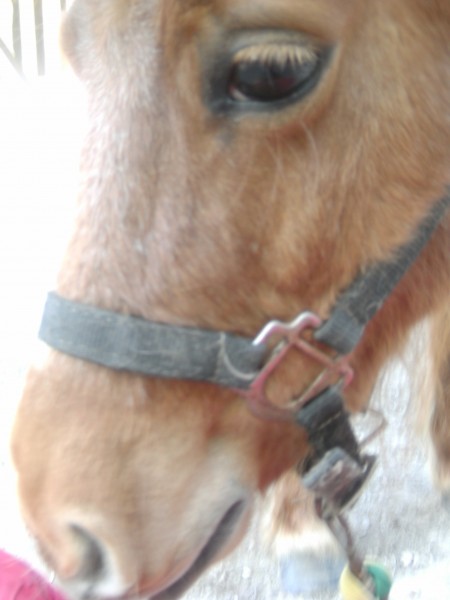 Photo de profil de lucie.14