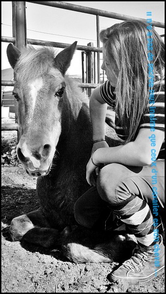 Photo de profil de charlotte3363