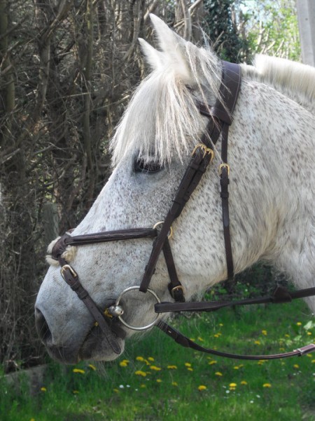 Photo de profil de noemierv