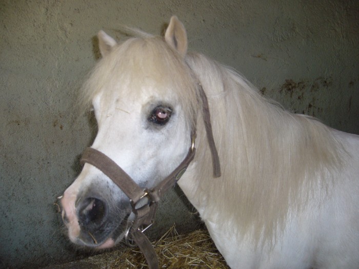 Photo de profil de titjul26